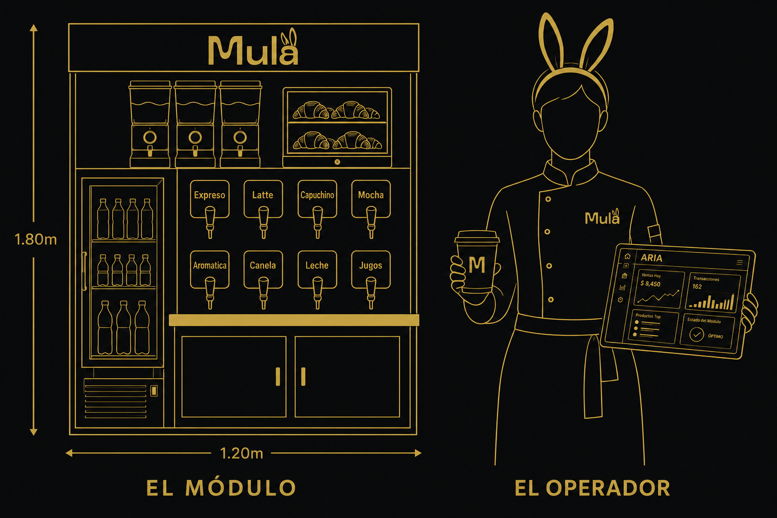 Modulo MULA y Operador